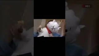 Jin and RJ love story