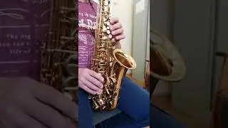 Selmer 80 Replica