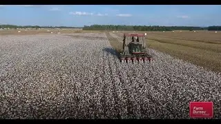 Memphis Home To Cotton Advocacy Organizations
