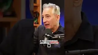 Neil deGrasse Tyson & Brian Greene Discuss Parallel Universes and the Brane Universe Theory