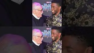 The Exciting Career of Stan