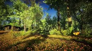 Video Game Ambience Asmr - (Leaving Lyndow)  Sunny Forest Trail | Relaxing Nature Sounds