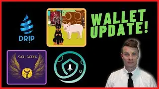 DRIP | Safemoon | Animal Farm | Angel Node - Wallet Update!