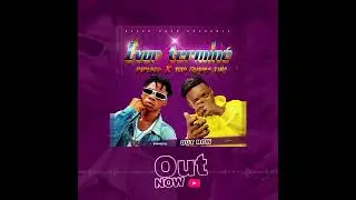 Didisco Feat Tito Famous King - EVOR TERMINÉ (Audio Officiel)