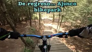Ajusco BIKEPARK MTB TRAIL armadillo con CAIDA 🤟🏼🐻
