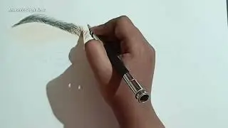 Realistic eye drawing (Part-1)(colour pencils). Realtime drawing. Anusree Singh Arts.