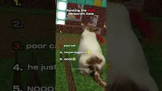 Ranking the Best Minecraft Cats 🤣Part 2