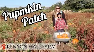Visiting a British Pumpkin Patch | Kenyon Hall Farm Pumpkin Festival