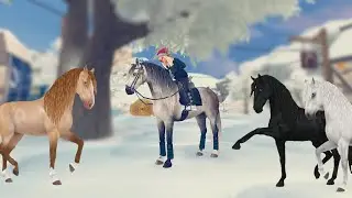 Ich kaufe die neuen Andalusier 💸🐴 | SSO Pferdekauf
