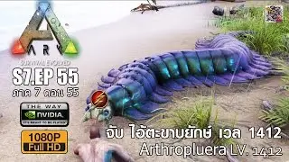 ARK S7.EP.55 : ภาคที่ 7 ตอนที่ 55 จับตัวใหม่ 