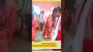 आदिवासी गर्ल्स डान्स | rim zim vana vanda | new kolami song | new adivasi song | new gondi song |