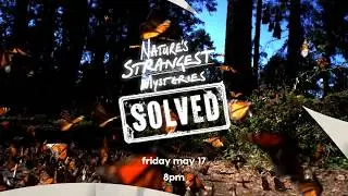 Nature's Strangest Mysteries: Solved (2019) Intro