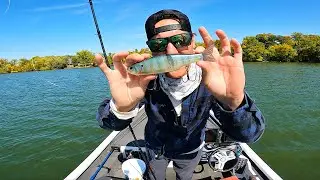 Minnesota GLIDE BAIT Bass Fishing!