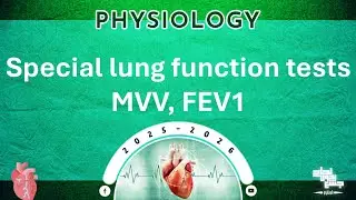 Revision of Tut 5: Special lung function tests MVV and FEV1; Physiology 