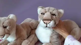 Reviewing the Leosco Puma/Mountain Lion Plushies
