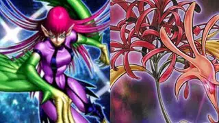 Harpie Lady's Vs Amaryllis [ Edison Format ]