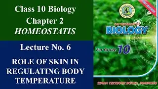 Biology Class 10 | Chapter 2 | Role of Skin in Regulating Body Temperature | Lecture 6