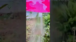 🌈Live🌧️☔️⛈️ #trending #ytshorts #rain #jaffna #live