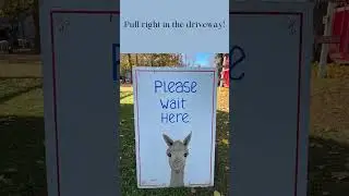 Selfie Saturday and the Alpacas #realestate #alpacafarm #selfiesaturday #localexpert