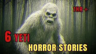 6 True Yeti Encounter Horror stories To Fall Asleep To