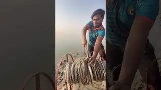 Amazing big shark hunting small catfish bait throwing in river  #fishinglife  #hook  #bait  #shorts