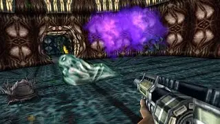 Turok 2 Remaster: Level 5 - Hive of the Mantids (Hardcore 100%)
