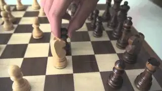 Alex's Time Freeze Chess Game