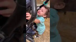 Baby Boss pushes stroller instead of riding 🍼😍 #baby #stroller #shorts #friendshiops #shorts