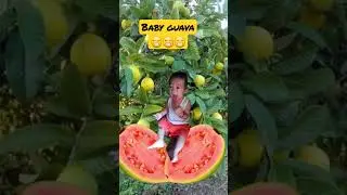 smile baby guava #fruits #viral #trending #short / Dolores Pio