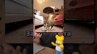 Твой выбор = это и есть ты😨