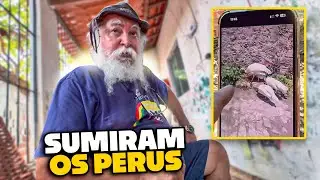 OS PERUS DE LUIZ DO SOM SUMIRAM E ELE ACHA QUE TEM DEDO DE MANE | TURMA DO SÍTIO 
