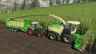 LS19 Multiplayer / Silage XXl /