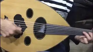 Maurice Shehata Oud ASEEL - 3543