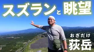 【荻岳】山頂でスズランを見る【2025年5月4日】