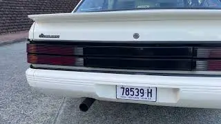 1984 HDT SS VK COMMODORE - PETER BROCK BIG BANGER