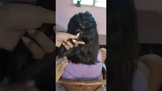1 Minute hairstyle for short hairs #1minutevideo #shorthairshairstyle #shorthair #hairstyleforgirls