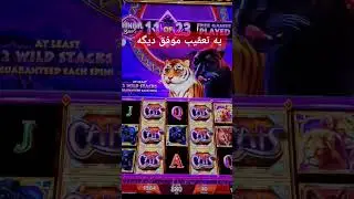 #minor #bonus #catswild #serengeti #slotmachine #casino #farsi #بونوس #اسلات_ماشین #کازینو #جکپات