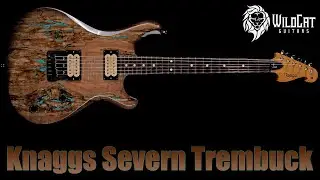 Knaggs 2014 Severn Trembuck T 3 Spalted Maple Top Natural with Turquoise