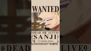 That's why I love Straw Hat Pirates - Sanji & Zoro