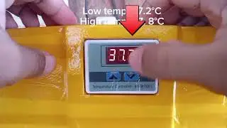 Paano mag set-up ng temperature sa XH-W3001 thermostat para sa DIY egg incubator