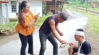 Kumpulan video lucu #ngakak 