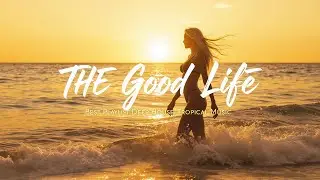 Alan Walker, David Guetta, Sia, Ava Max, Martin Garrix & Kygo - Summer Mix 2025 | Tropical Summer