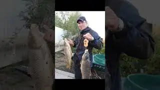 #fish #fishing #4k #хочуврек #настроение #2024 #хочувтоп #топ #астраханскаярыбалка
