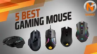 5 Best Gaming Mouse 2021