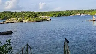 Snorkeling In Cancun Mexico 