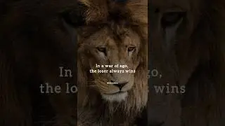 Forget But Never forgive #motivation #youtubeshorts #quotes Lifetaktics