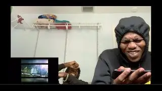 Npk - Anti Green | Reaction