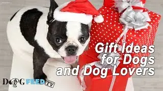 12 Gift Ideas for Dogs and Dog Lovers