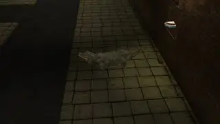 ADA BUAYA? - Evil Nun (Sewer escape)