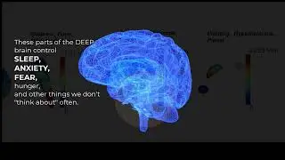 CES CalmBox Brief Overview of Neuromodulation Technology for You